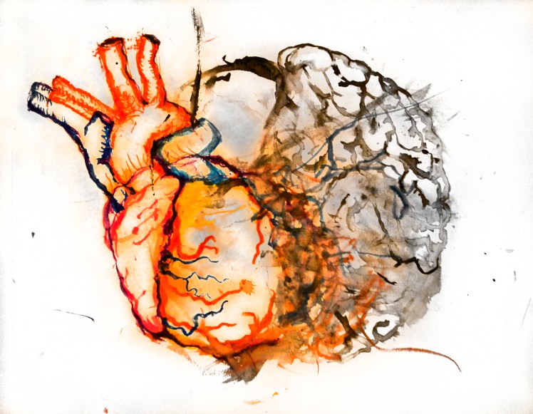 heart brain